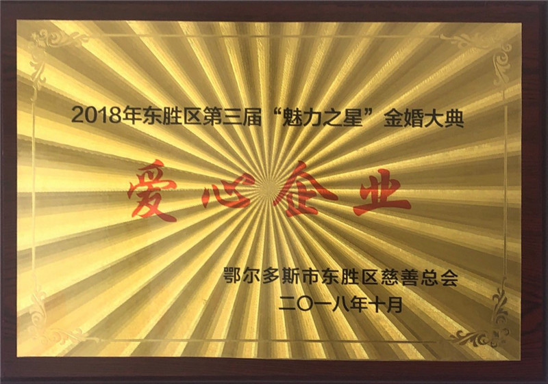 2018年東勝區(qū)第三屆“魅力之星”金婚大典愛心企業(yè).jpg