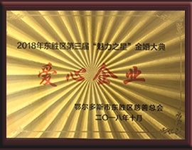 2018年東勝區(qū)第三屆“魅力之星”金婚大典愛心企業(yè)